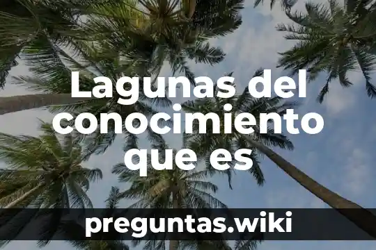 Lagunas del conocimiento que es