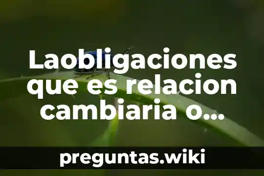 Laobligaciones que es relacion cambiaria o causal