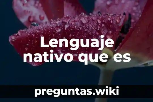 Lenguaje nativo que es
