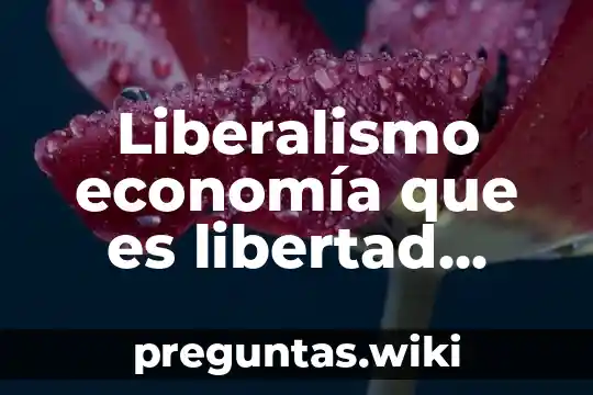 Liberalismo economía que es libertad individual