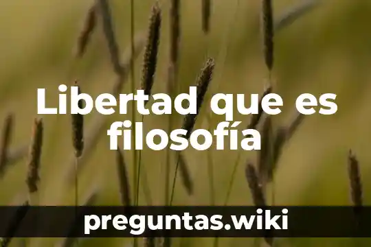 Libertad que es filosofía