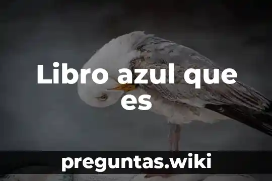 Que es la trascendencia libro 5 Libro azul que es