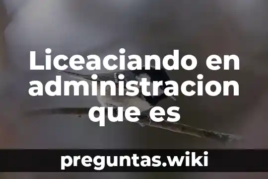 Liceaciando en administracion que es