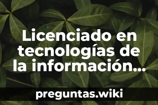 Licenciado en tecnologías de la información que es