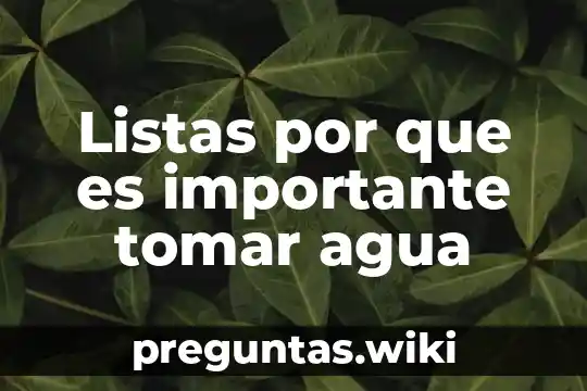 Listas por que es importante tomar agua