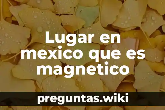 Lugar en mexico que es magnetico