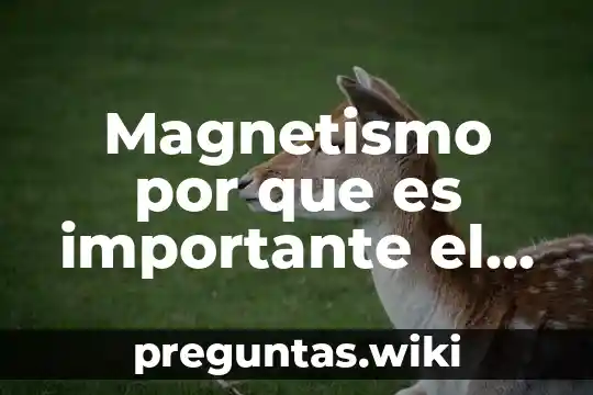 Magnetismo por que es importante el estudio del magnetismo