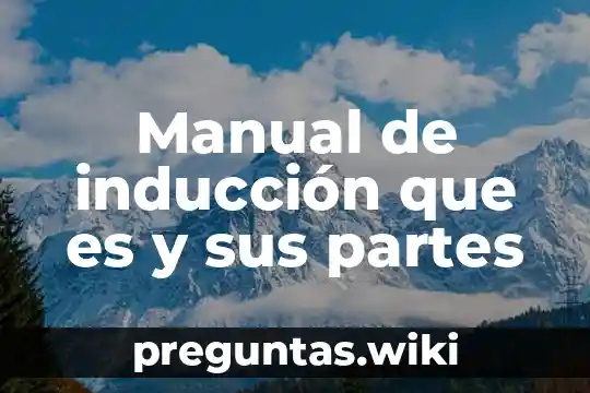 Manual de inducción que es y sus partes