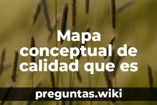 Mapa conceptual de calidad que es