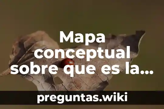 Mapa conceptual sobre que es la cultura