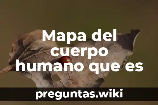 Mapa del cuerpo humano que es