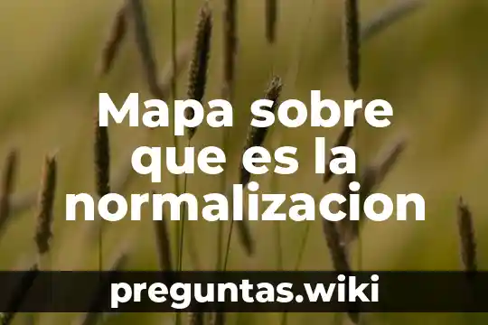 Mapa sobre que es la normalizacion