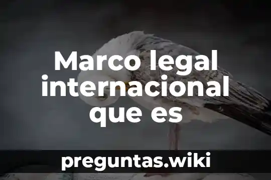 Marco legal internacional que es