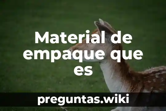Material de empaque que es