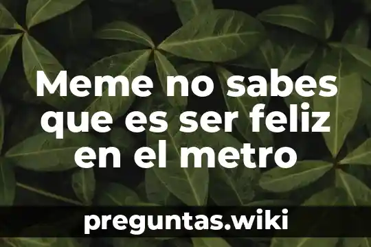 Meme no sabes que es ser feliz en el metro