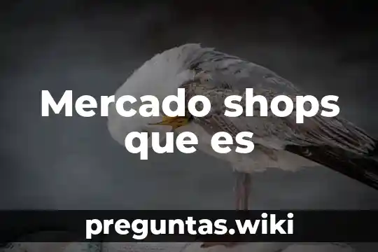 Mercado shops que es