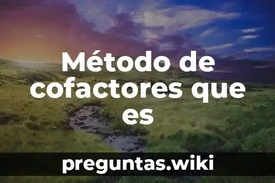 Método de cofactores que es