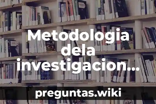 Metodologia dela investigacion que es el estado del arte