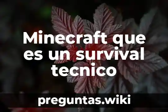 Minecraft que es un survival tecnico