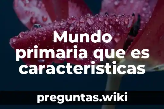 Mundo primaria que es caracteristicas