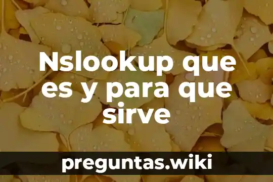 Nslookup que es y para que sirve