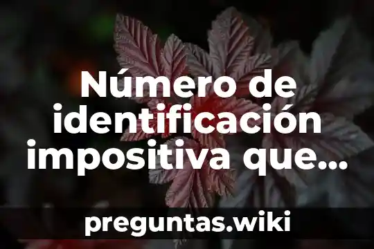 Número de identificación impositiva que es