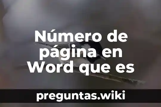 Número de página en Word que es
