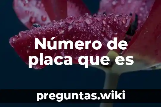 Número de placa que es