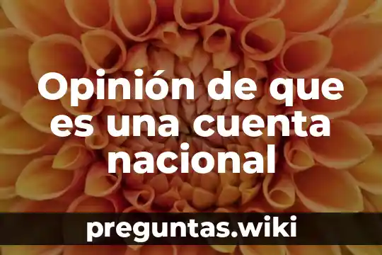 Opinión de que es una cuenta nacional