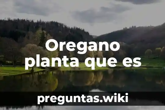 Oregano planta que es