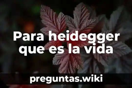 Para heidegger que es la vida