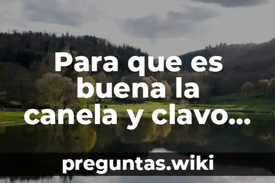 Para que es buena la canela y clavo de olor