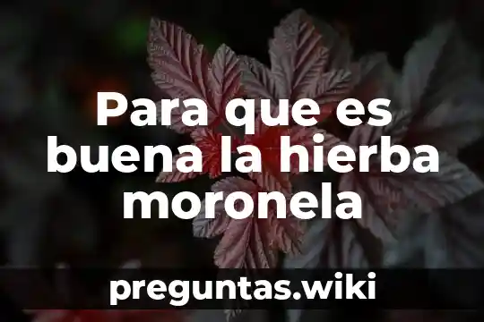 Para que es buena la hierba moronela