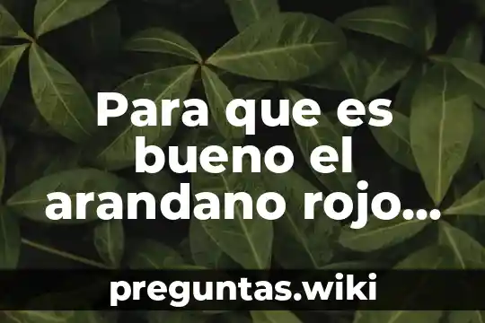 Para que es bueno el arandano rojo deshidratado