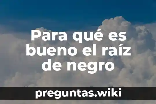 Para qué es bueno el raíz de negro
