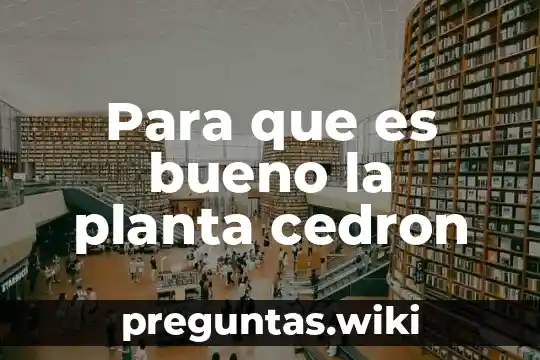 Para que es bueno la planta cedron