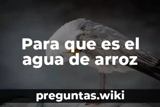 Para que es el agua de arroz