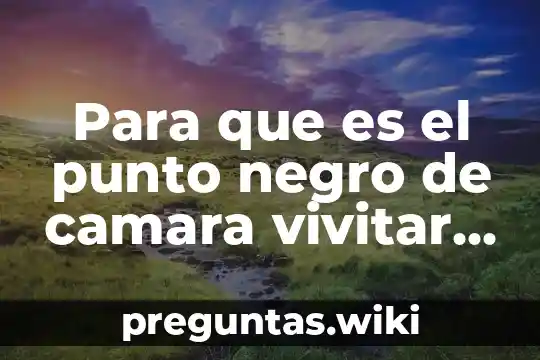 Para que es el punto negro de camara vivitar 786