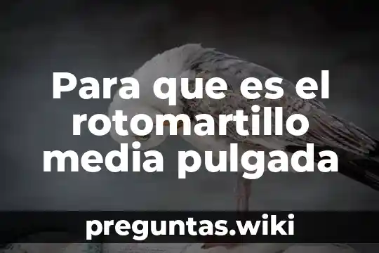 Para que es el rotomartillo media pulgada