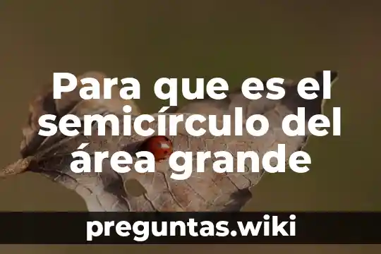Para que es el semicírculo del área grande