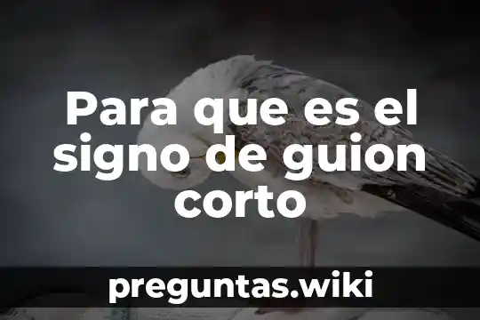 Para que es el signo de guion corto