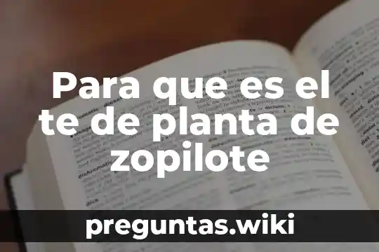 Para que es el te de planta de zopilote