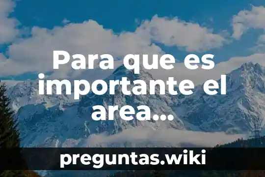Para que es importante el area responsable de comunicacion