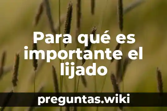 Para qué es importante el lijado