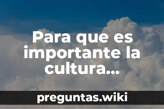 Para que es importante la cultura organizacional