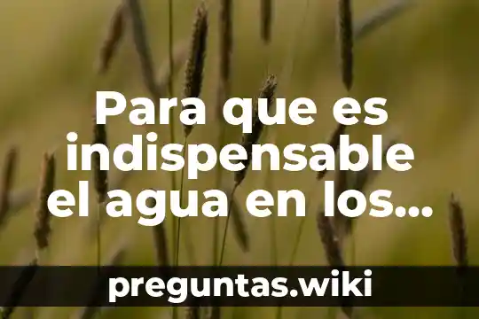 Para que es indispensable el agua en los seres vivos