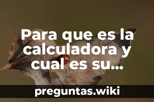 Para que es la calculadora y cual es su funcion