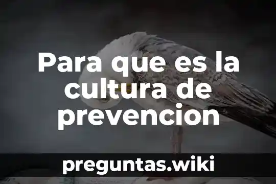 Para que es la cultura de prevencion