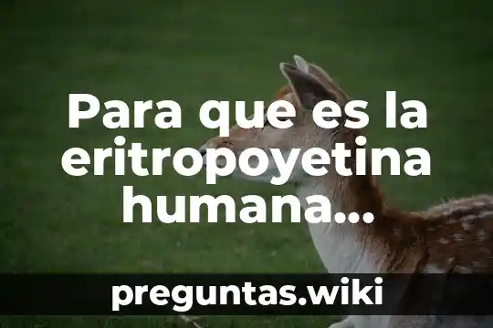 Para que es la eritropoyetina humana recombinante