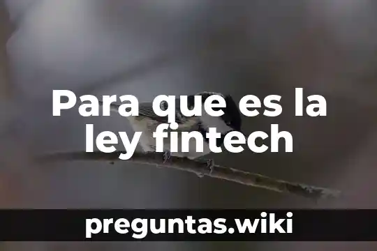 Para que es la ley fintech